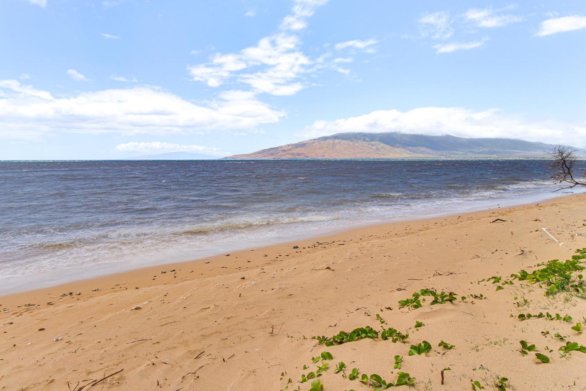 Gorgeous Oceanfront Condo With Spectacular Views! Кихеи Екстериор снимка
