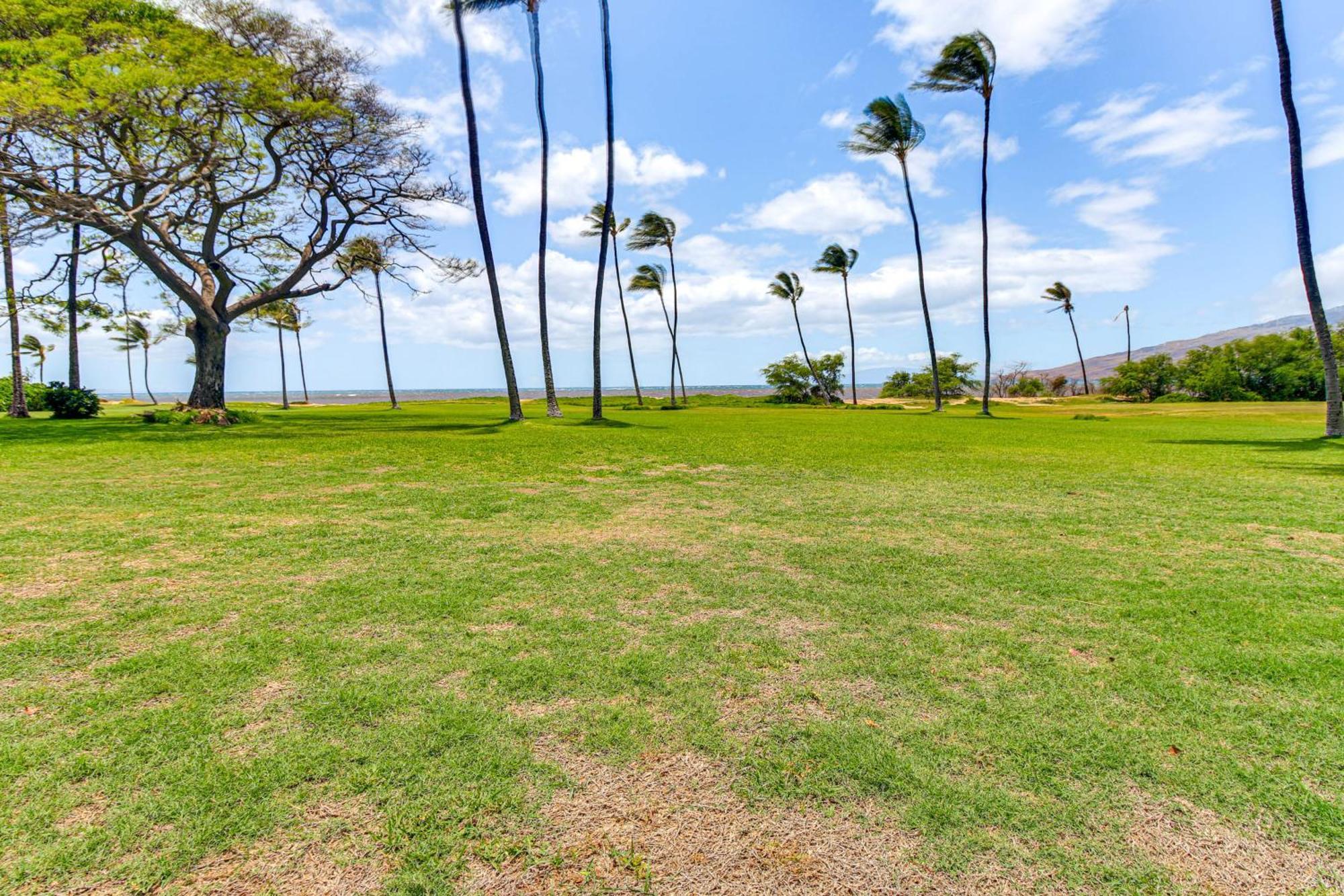 Gorgeous Oceanfront Condo With Spectacular Views! Кихеи Екстериор снимка