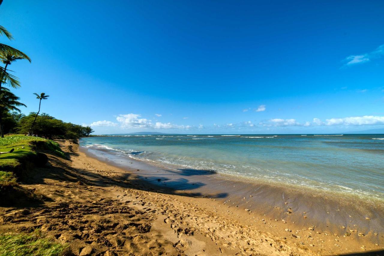Gorgeous Oceanfront Condo With Spectacular Views! Кихеи Екстериор снимка