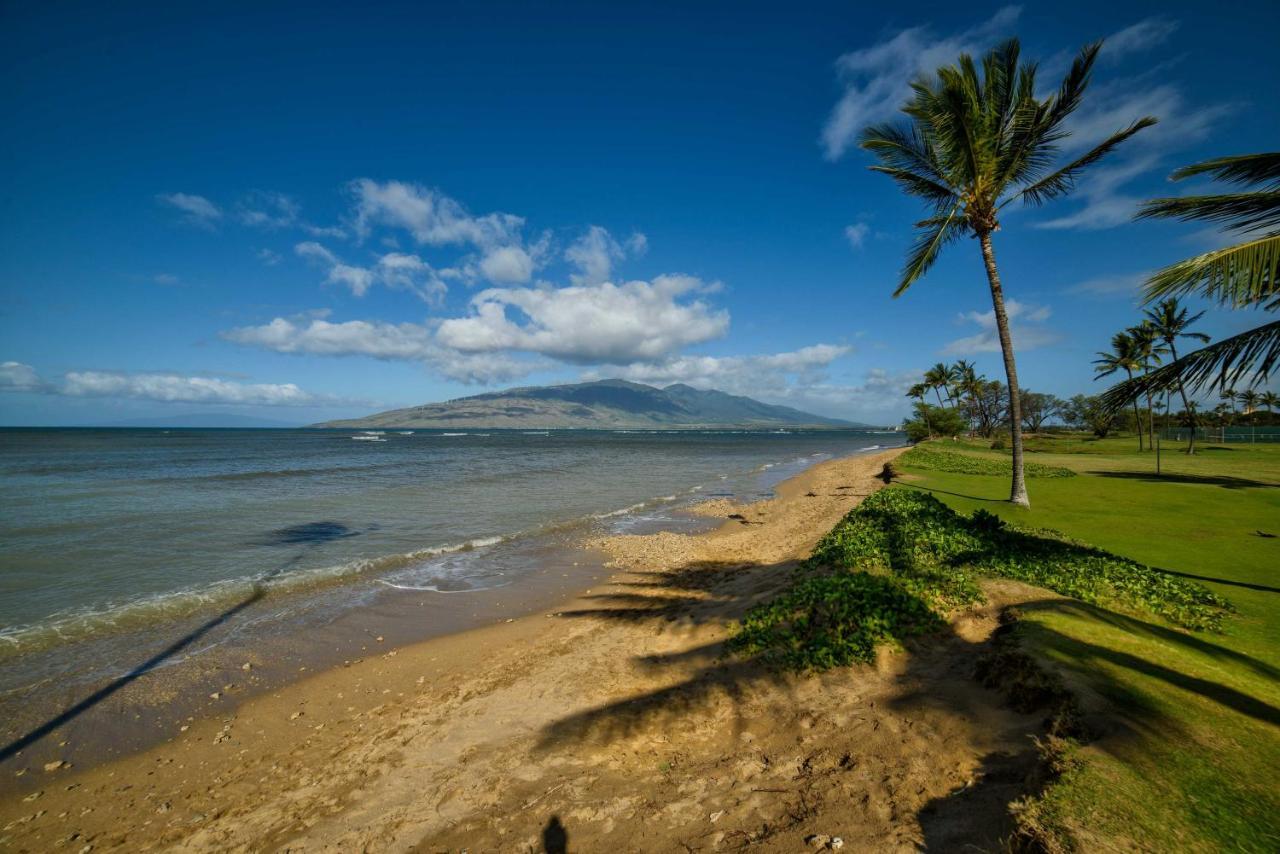 Gorgeous Oceanfront Condo With Spectacular Views! Кихеи Екстериор снимка